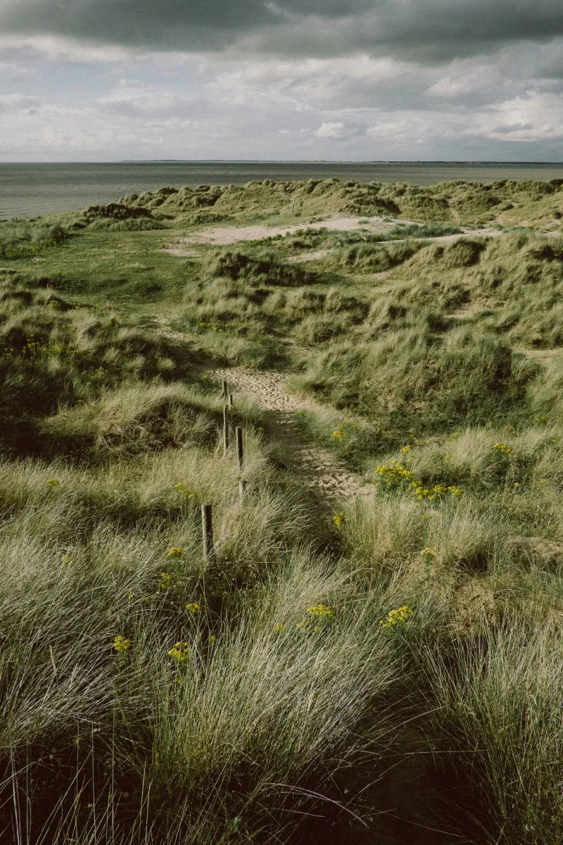 Заземлення для зняття стресу: техніки, які працюють